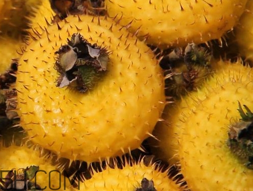 刺梨是酸性還是堿性？刺梨是涼性還是熱性