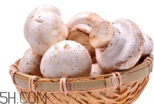 口蘑的口字是怎么來的？口蘑怎么清洗