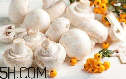 口蘑怎么吃？口蘑不能和什么一起吃