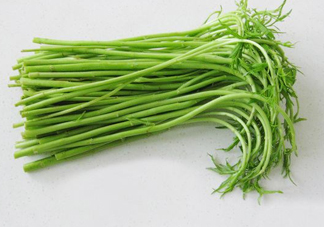 藜蒿多少錢一斤？藜蒿和蘆蒿是同一種菜嗎？