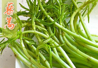 藜蒿什么季節(jié)有？藜蒿是發(fā)物嗎