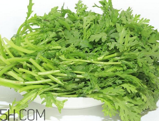 皇帝菜與什么煲湯好吃？皇帝菜性寒嗎