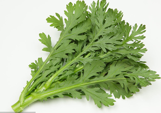 皇帝菜是什么樣子？皇帝菜又叫什么菜