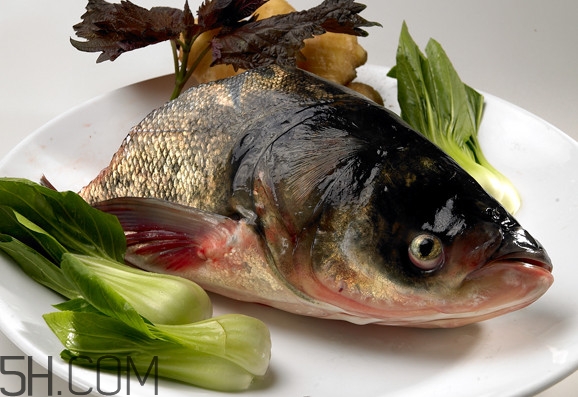 胖頭魚(yú)吃什么？胖頭魚(yú)怎么殺