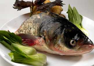 胖頭魚吃什么？胖頭魚怎么殺