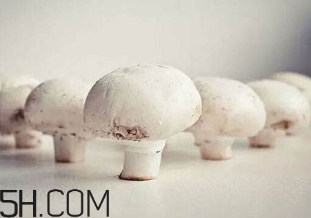 口蘑怎么吃？口蘑不能和什么一起吃