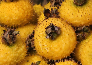 刺梨是酸性還是堿性？刺梨是涼性還是熱性