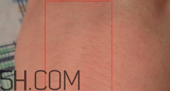 泊美塑采亮眼霜怎么樣？泊美塑采亮眼霜好用嗎？