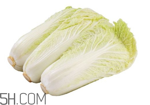 娃娃菜熱量是多少？娃娃菜為什么叫娃娃菜