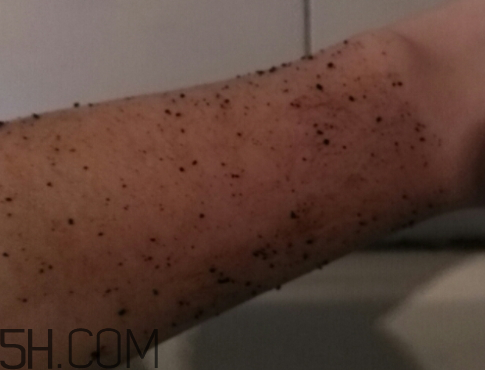 澳洲body咖啡身體磨砂膏怎么樣？多少錢？