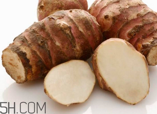 菊芋是什么？菊芋可以當(dāng)姜使用嗎？