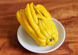 佛手柑怎么種植？佛手柑和香橙味道一樣嗎