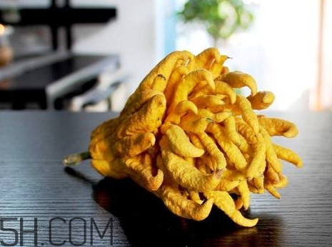 佛手柑孕婦可以吃嗎？佛手柑的功效與作用