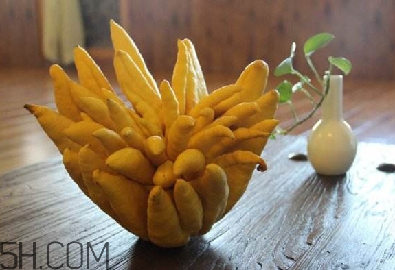 佛手柑怎么腌制？佛手柑可以生吃嗎