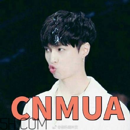 cnmua是什么意思？cnmua無(wú)水印表情包