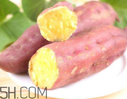 板栗紅薯什么時候成熟？板栗紅薯好吃嗎