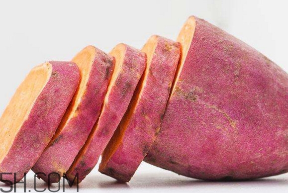 紅薯是蒸的好還是煮的好？紅薯是根還是莖