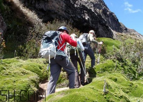 爬山后腿部酸痛怎么辦？如何防止爬山后腿疼？
