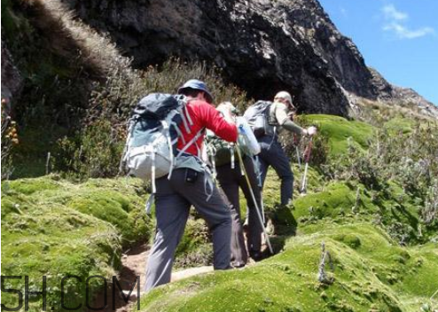 爬山后腿疼幾天能恢復(fù)？爬山后腿部酸痛的類型