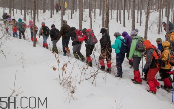 老年人爬山好嗎？下雪可以爬山嗎？