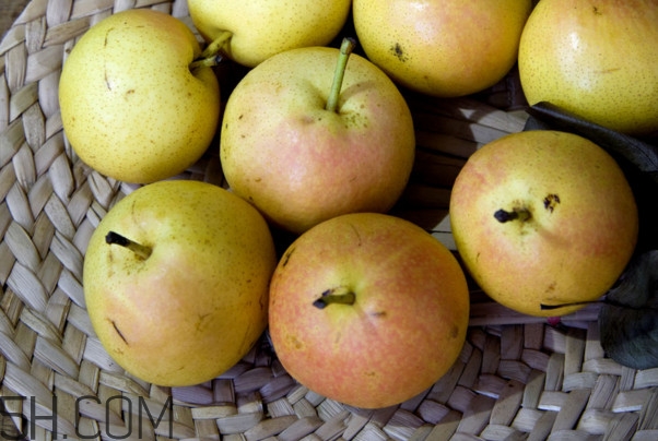 沒有熟透的南果梨能吃嗎？南果梨怎么做酒