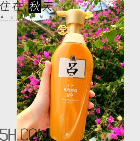 黃呂洗發(fā)水怎么樣？黃呂洗發(fā)水適合人群