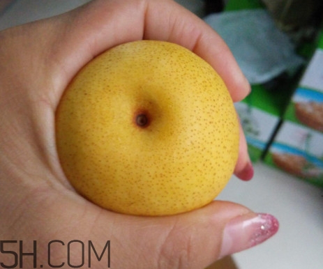 南果梨含酒精嗎？南果梨的功效與作用