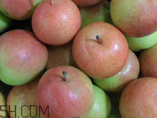 南果梨怎么變軟？南果梨怎么捂熟