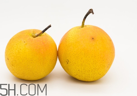 沒有熟透的南果梨能吃嗎？南果梨怎么做酒