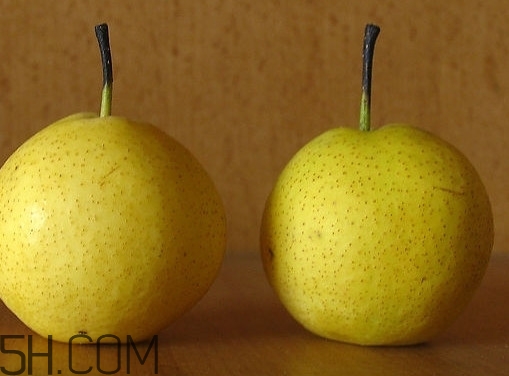 南果梨是哪里的特產(chǎn)？南果梨是嫁接的嗎