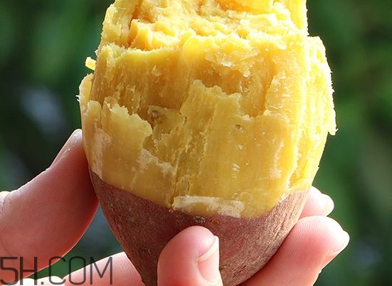 板栗紅薯能一起吃嗎？板栗紅薯哪里產(chǎn)的好吃