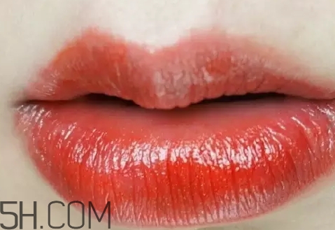 錦鯉色口紅是什么顏色？錦鯉色口紅試色
