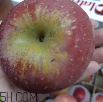 丑蘋果和普通蘋果的區(qū)別 丑蘋果和普通蘋果的區(qū)別