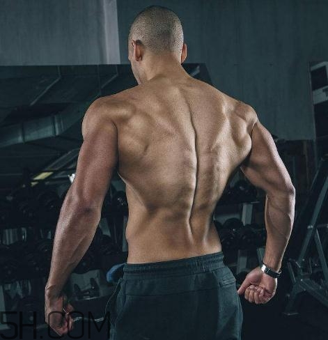 背闊肌怎么練厚？背闊肌怎么發(fā)力？