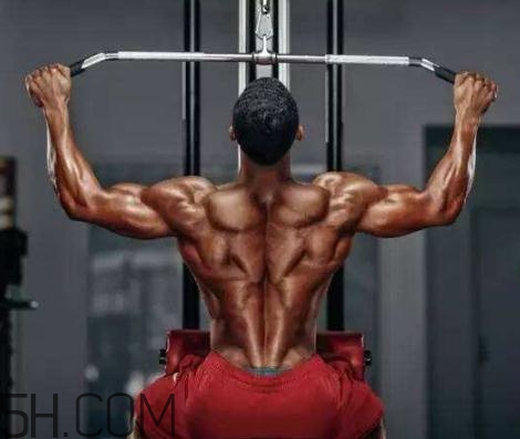 背闊肌怎么練厚？背闊肌怎么發(fā)力？