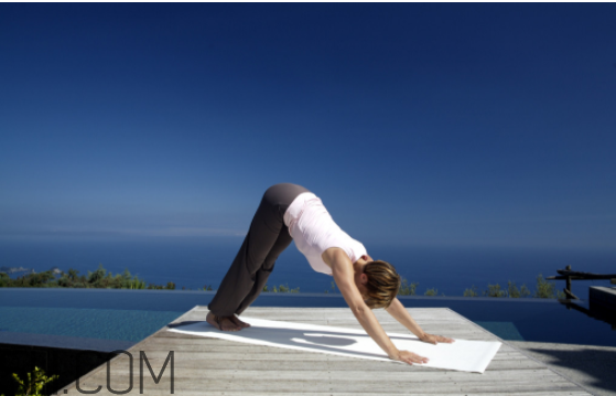 自學(xué)瑜伽從哪些體式入手？瑜伽能減肥嗎？