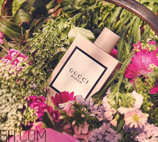gucci bloom香水多少錢？gucci bloom香水專柜價格