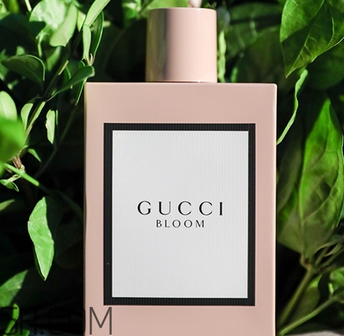 gucci bloom香水多少錢？gucci bloom香水專柜價格