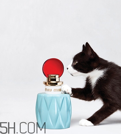 miumiu香水什么檔次？miumiu繆繆香水是哪國的