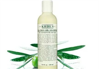 科顏氏氨基酸椰油洗發(fā)水怎么樣？科顏氏氨基酸椰油洗發(fā)水測(cè)評(píng)