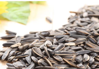 葵花籽可以生吃嗎？葵花籽可以多吃嗎