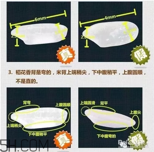 五常大米怎么辨別真假？五常大米和普通米的區(qū)別