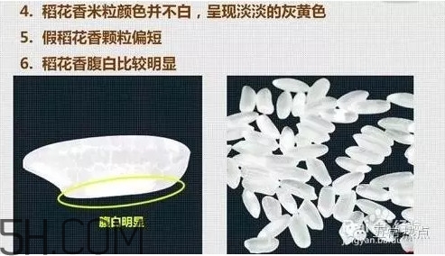 五常大米怎么辨別真假？五常大米和普通米的區(qū)別