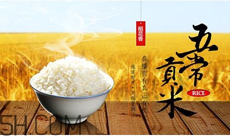 五常大米什么時候種植？五常大米是什么品種