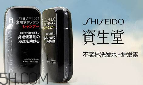 資生堂不老林洗發(fā)水好用嗎？資生堂不老林洗發(fā)水多少錢？