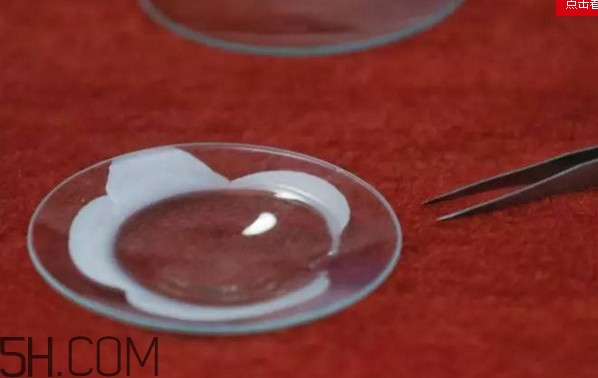 人造塑料大米能吃嗎？怎樣辨別人造塑料大米