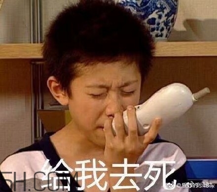 diediedie什么意思？diediedie表情包