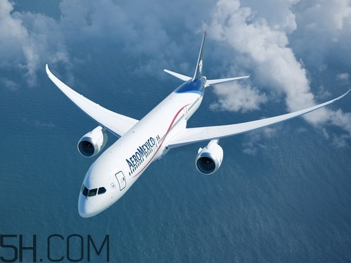 醬牛肉可以帶上飛機(jī)嗎？醬牛肉有點酸了怎么辦