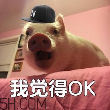 ojbk是什么意思？ojbk表情包