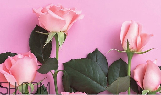 百雀羚唇彩怎么樣？百雀羚唇彩色號試色